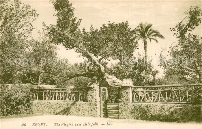 Cairo Egypt The Virgins Tree Heliopolis
