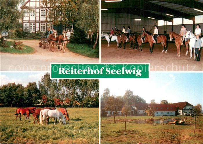 Clenze Reiterhof Seelwig Kutsche Reithalle Pferdeweide