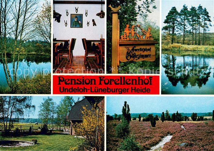 Undeloh Pension Forellenhof Teiche Gaststube Landschaften