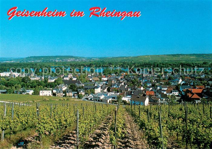 Geisenheim Gesamtansicht m. Weinreben