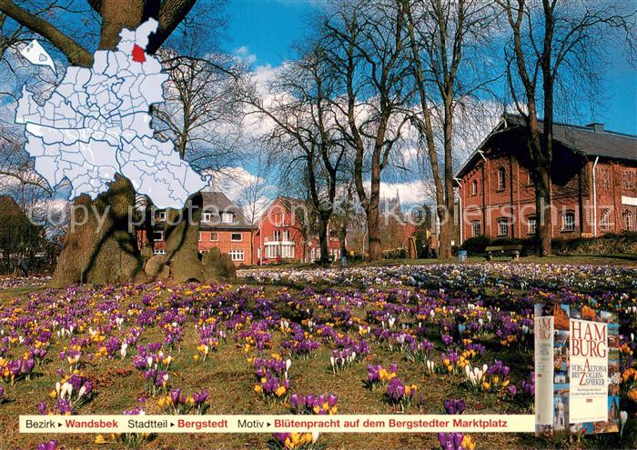 HAMBURG  CITY Wandsbek Bergstedt Bluetenpracht a.d. Bergstedter Marktplatz