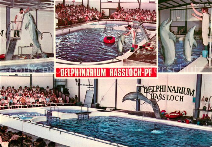 Delfine Delphine Dolphins Dauphins Delfines Holiday Park Hassloch Pfalz