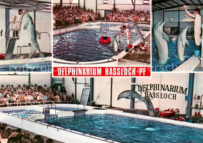 Delfine Delphine Dolphins Dauphins Delfines Delphinarium Holoday Park Hassloch P
