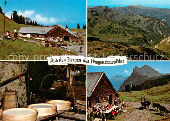 Vorarlberg Alpsennerei im Bregenzerwald Alpenpanorama