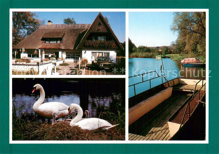 Koenigs-Wusterhausen EisCafe Dolgenbrodt Schwanenfamilie Personenfaehre