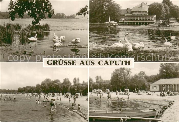 Caputh Schwanenteich Hotel Strandpartien