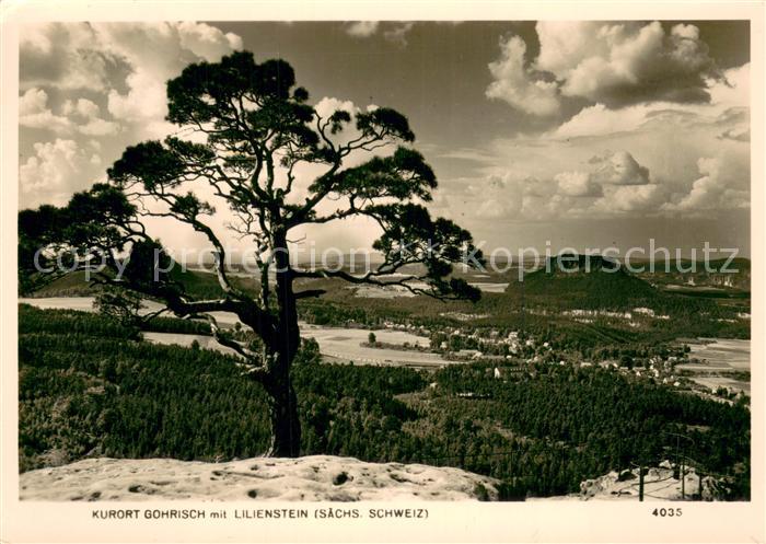 Gohrisch mit Lilienstein