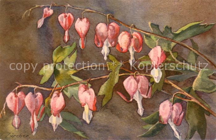 Blumen Frauenherz Züriher
