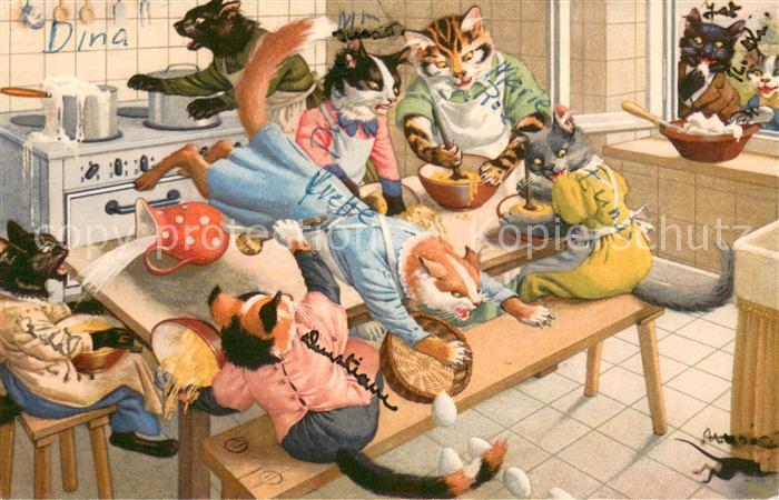 Vermenschlicht Katzen beim Kochen