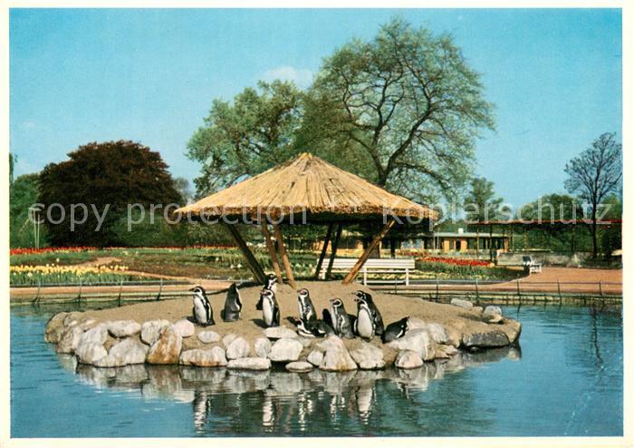 Gartenbauaustellung Hamburg 1953 Pinguinenteich