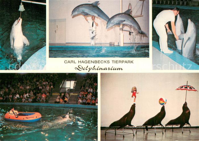 Delfine Delphine Dolphins Dauphins Delfines Carl Hagenbecks Tierpark Hamburg Ste