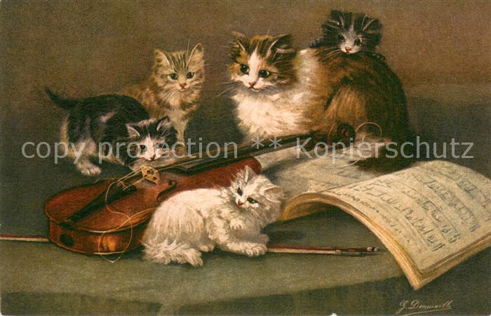 Geige Katzen Geige