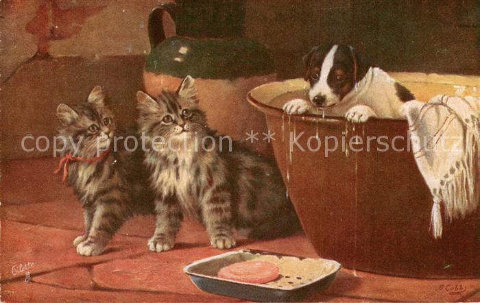 Verlag Tucks Oilette Serie Hund Baden Katzen zu Schauen