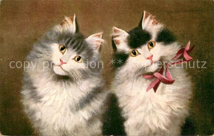 Katzen