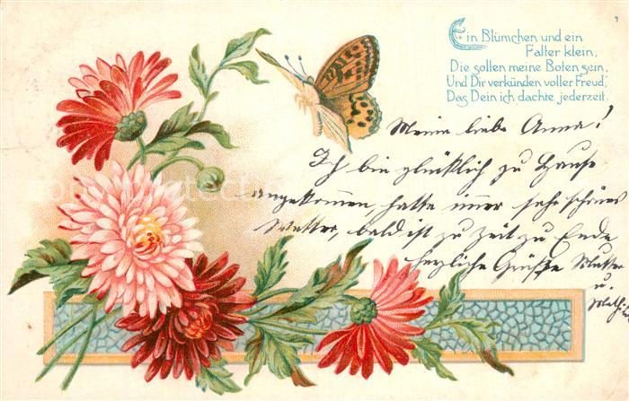 Blumen Schmeterling Blumen