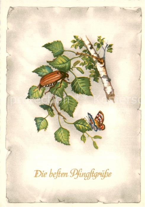 Pfingsten Pentecost Pentecote Maikaefer Schmetterling