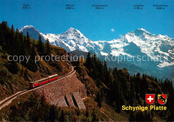 Bergbahn Schynige Platte Bahn Moench jungfrau Berner Oberland