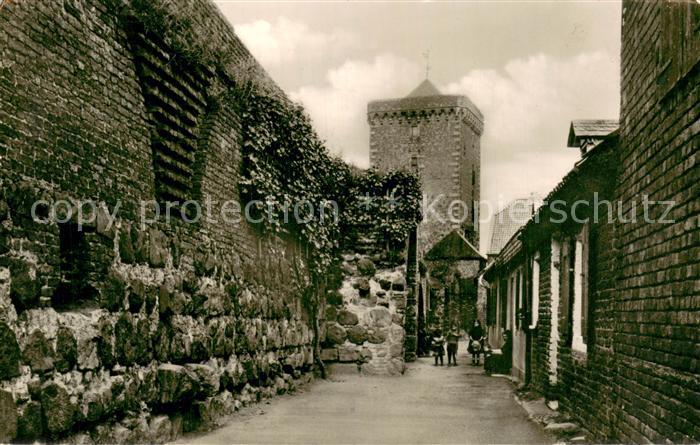 Zons Rhein An der Stadtmauer