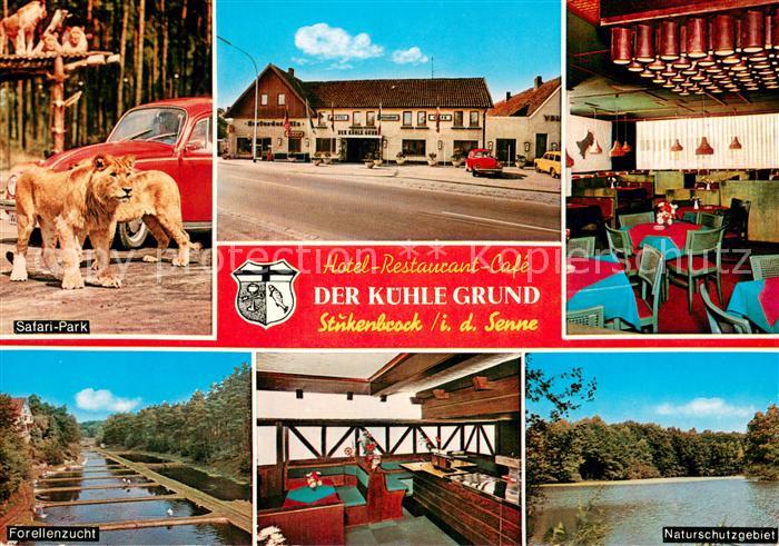 Stukenbrock Safari Park Hotel Restaurant Cafe Der Kuehle Grund Gastraeume Forell