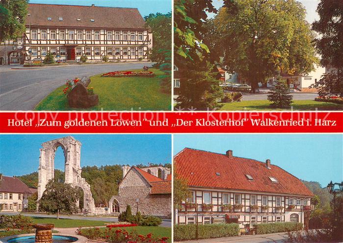 Walkenried Hotel Zum goldenen Loewen und Der Klosterhof Torbogenruine