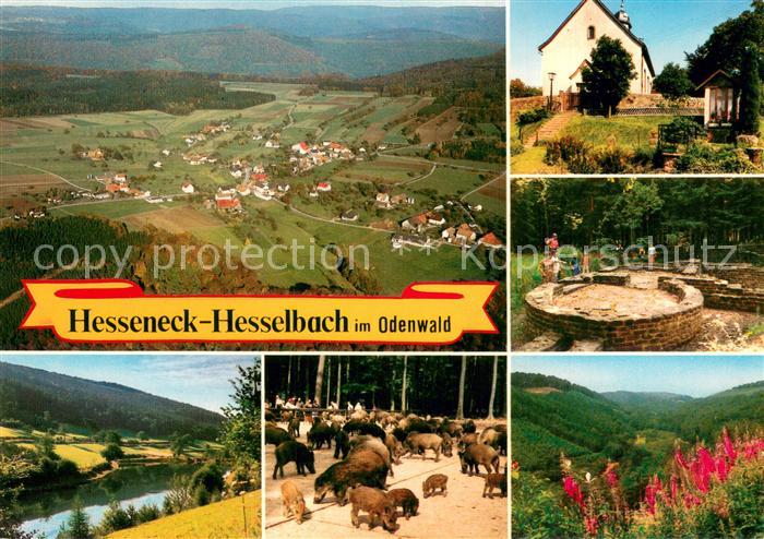 Hesseneck Fliegeraufnahme Gasthaus Pension Drei Lilien mit Hallenbad Wildpark Pa