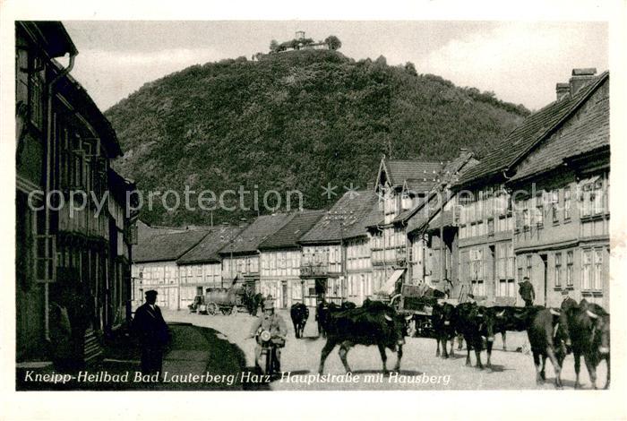 Bad Lauterberg Hauptstrasse m. Hausberg Kuhherde