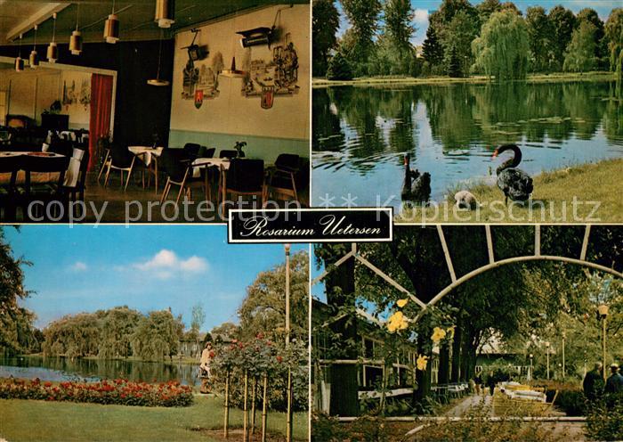 Uetersen Rosarium Uetersen See Schwaene