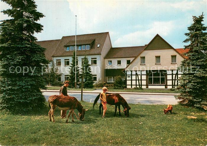 Bethel Bielefeld Haus Enon Esel Pony