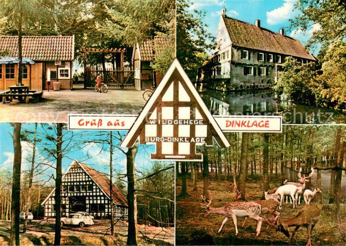 Dinklage Wildgehege Burg Dinklage