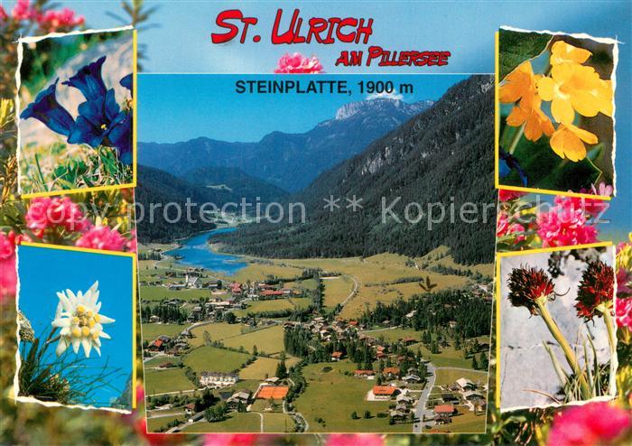 St Ulrich Pillersee Fliegeraufnahme mit Steinplatte Alpenflora