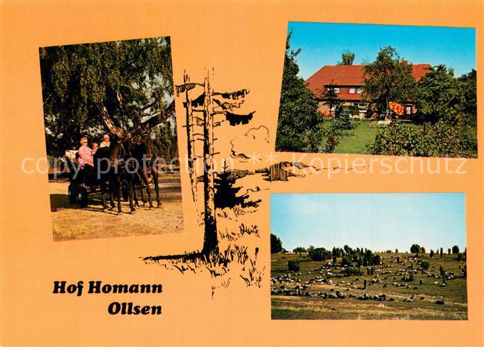 Ollsen Hof Homann Privatpension Pferdekutsche Panorama