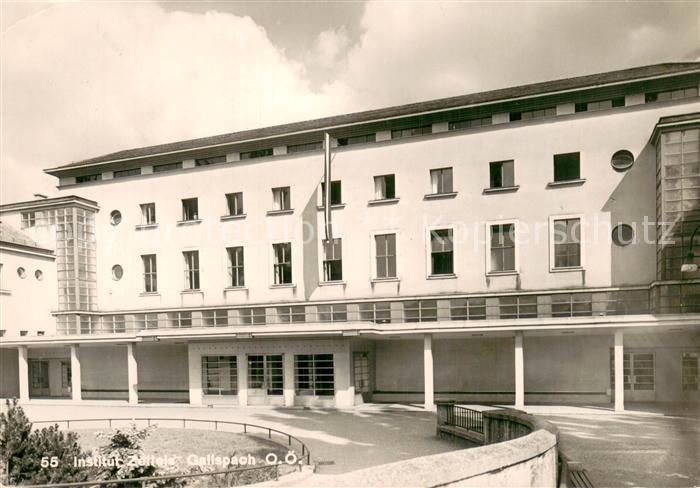 Gallspach Institut Zeileis