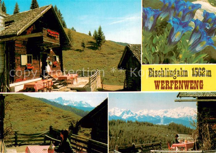 Werfenweng Bischlingalm Panorama