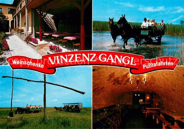 Illmitz Weinschenke Vinzenz Gangl Pusstafahrten