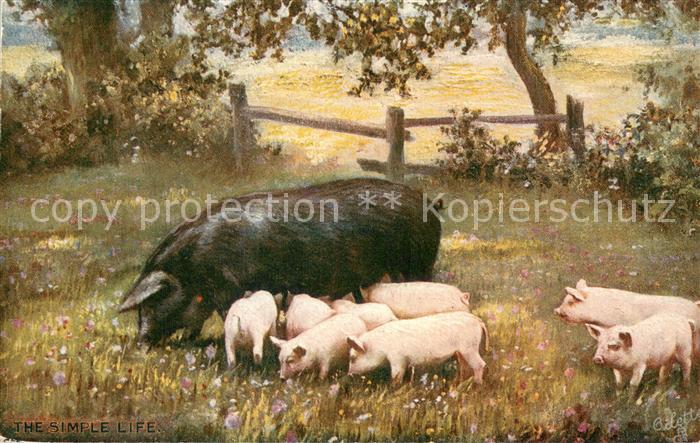 Verlag Tucks Oilette Serie 9483 The Simple Life Schweine