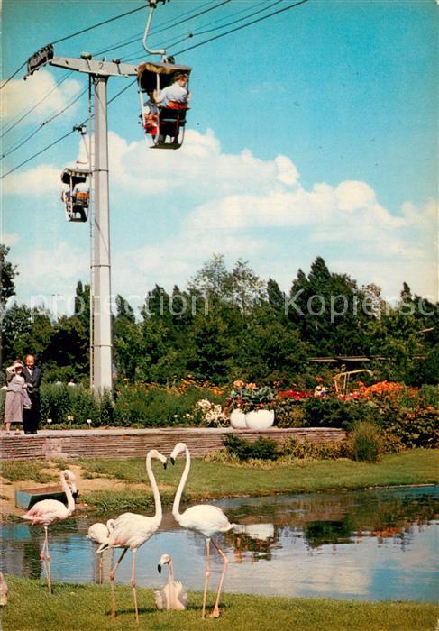Sessellift Chairlift Telesiege Bundesgartenschau in Koeln 71 Flamingoteich
