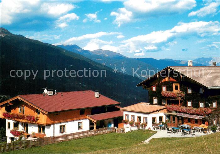 Zell Ziller Tirol Grindl Alm Zum Enzian Sepp