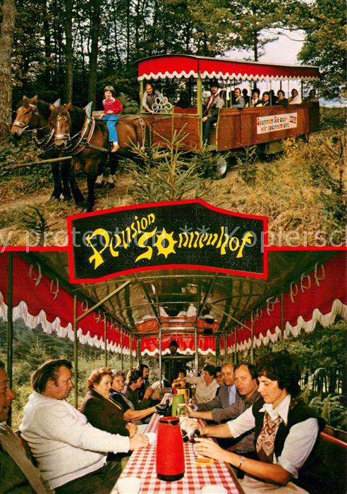 Geringhausen Pension Sonnenhof Pferdebus