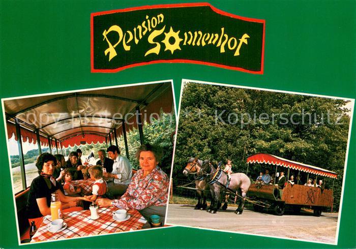 Geringhausen Pension Sonnenhof Pferdebus