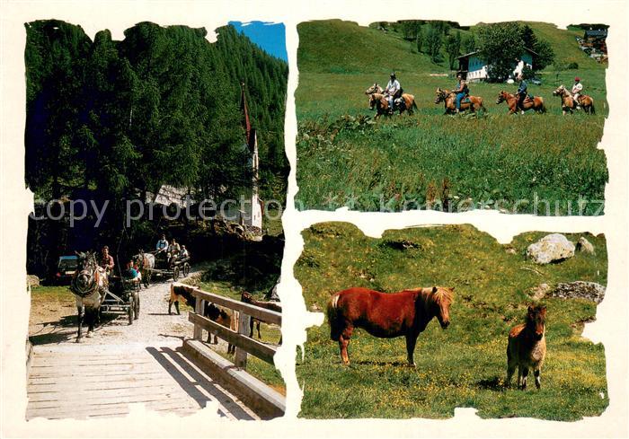 Kasern Pferdekutschenfahrt und Reiten