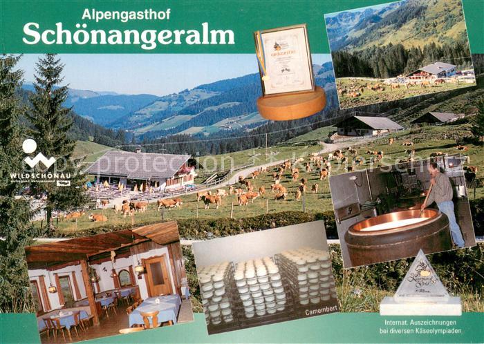 Wildschoenau Tirol Alpengasthof Schoenangeralm Gastraum Kaeserei Panorama