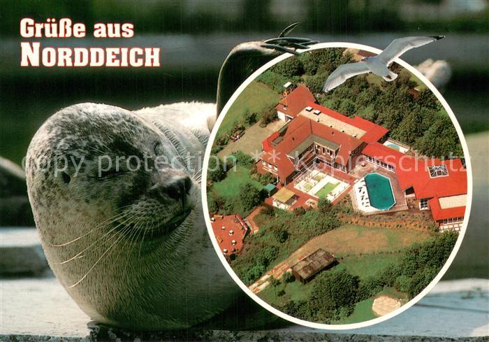 Norddeich Norden Nordseebad Seehundaufzuchtstation Fliegeraufnahme