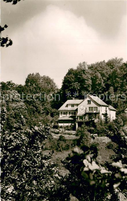Lindenfels Odenwald Haus Luginsland Weinklause Buecherstube Fremdenheim