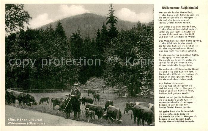 Wildemann Harz Goslar Niedersachsen Kuhhirte mit Kuherde Panorama