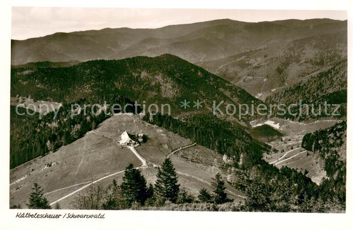 Kaelbelescheuer Fliegeraufnahme mit Huettenwirtschaft