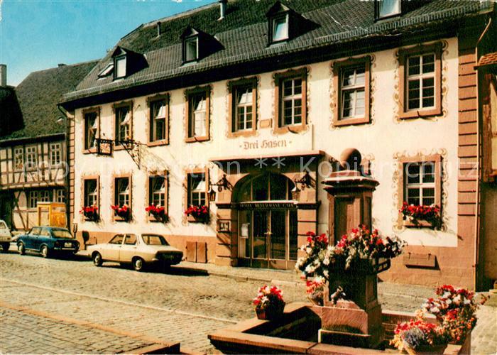 Michelstadt Gasthof Drei Hasen Brunnen