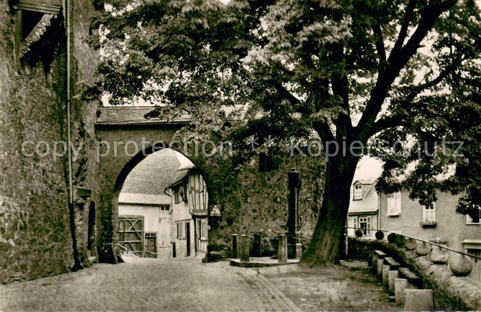 Braunfels Am Brunnen vor dem Tore