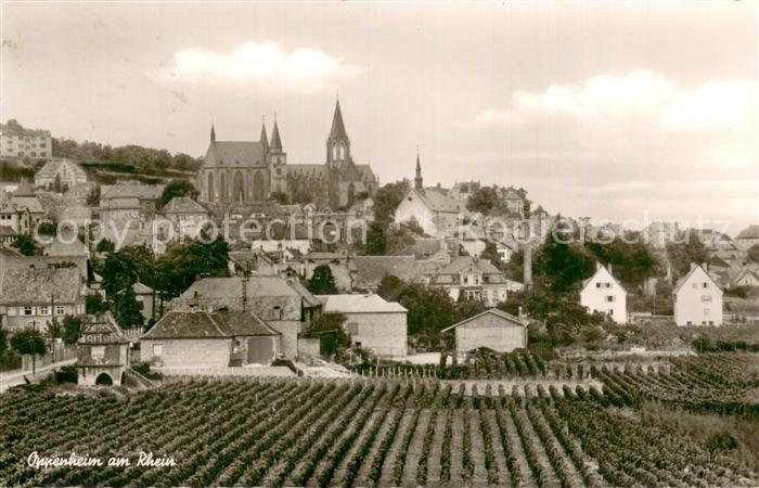 Oppenheim Panorama mit Kirche