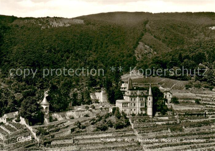 Haardt Weinstrasse Haardter Schloesschen Fliegeraufnahme