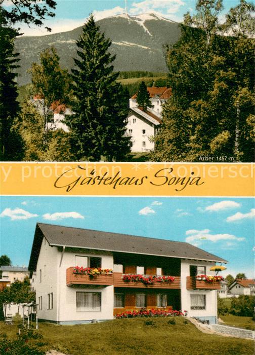 Bayerisch Eisenstein Gaestehaus Sonja Panorama